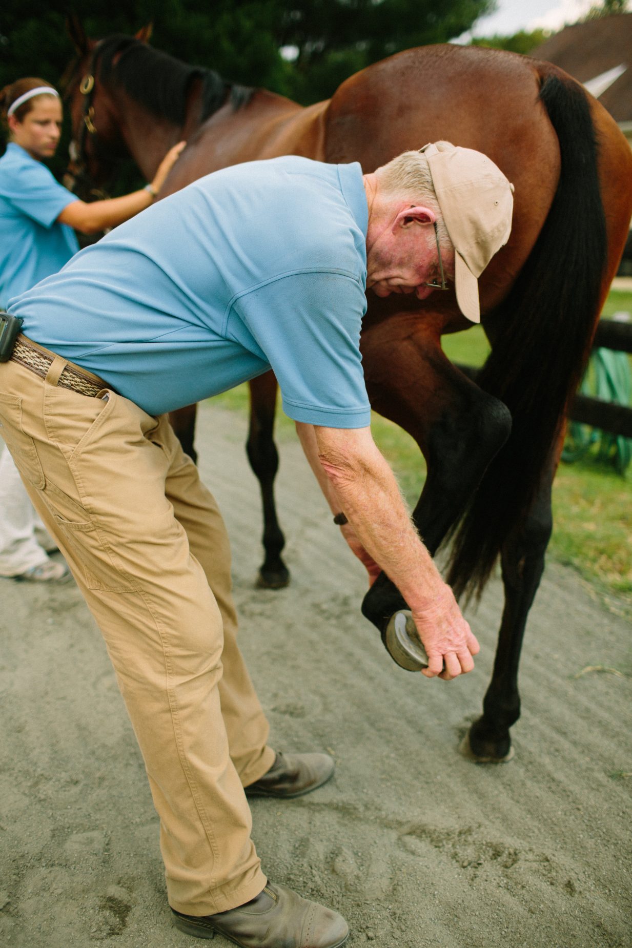 How Much Do Steroid Injections Cost For Horses