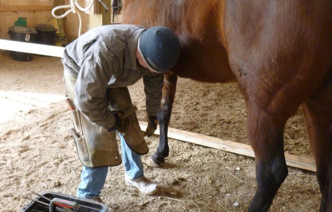 a person putting on a horseshoe