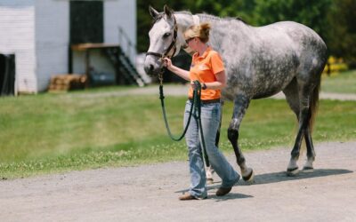 Academy Of Equine Veterinary Nursing Technicians