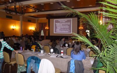 Equine Ophthalmology: Focus For Virginia Veterinarians On Saturday