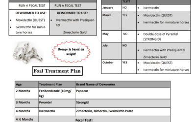 BREC Deworming Protocol