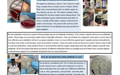 Antibiotics- What You Should Know