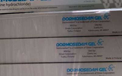 What should you know about Dormosedan Gel?
