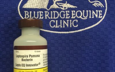 New Equine Leptospirosis Vaccine Available