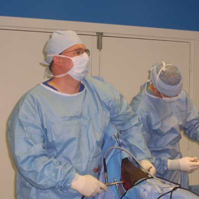 two vets doing equine treatment